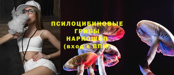 индика Аркадак
