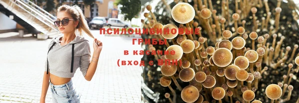 мескалин Армянск