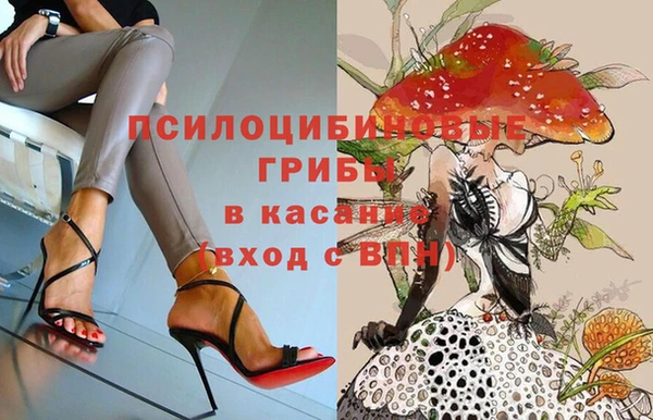 индика Аркадак