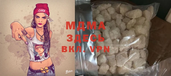 индика Аркадак