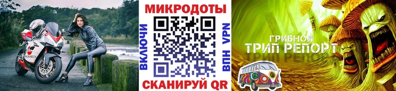Купить  Куса  Псилоцибиновые грибы MAGIC MUSHROOMS 