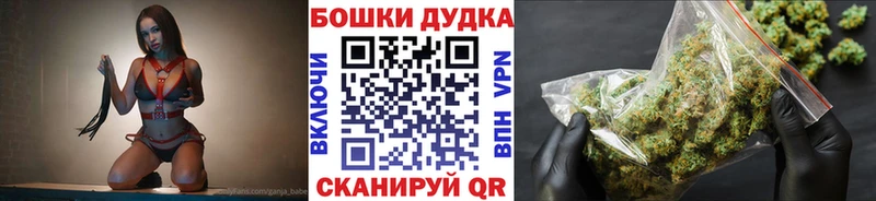 Купить  Куса  Конопля LSD WEED 